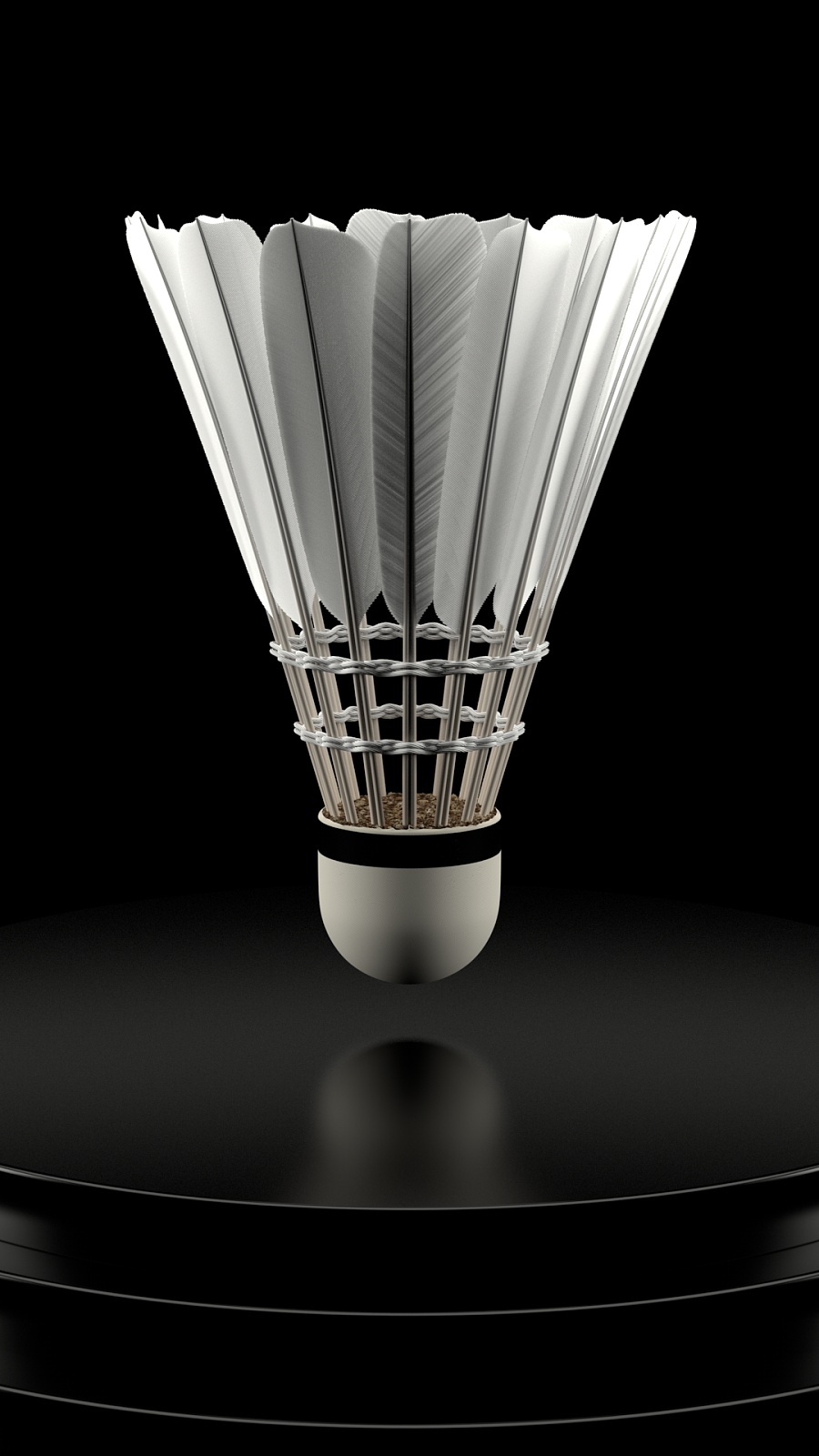 来自全球的 来自全球的